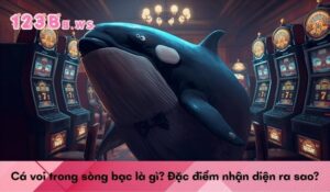 Cá voi trong sòng bạc là gì? Đặc điểm nhận diện ra sao?