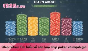 Chip Poker: Tìm hiểu về các loại chip poker và mệnh giá